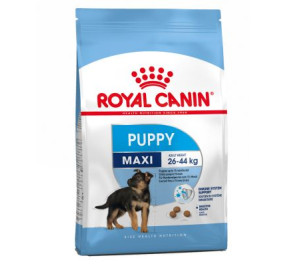 Royal canin maxi junior kg 15