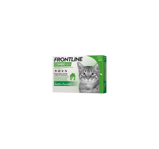 Frontline combo gatto 6 fialette