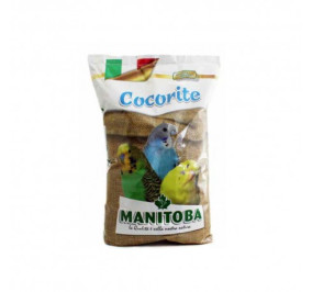 Manitoba cocorite kg 1