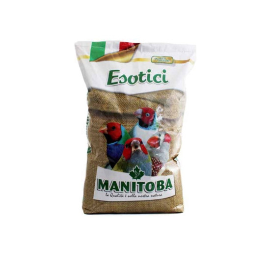 Manitoba esotici kg 1