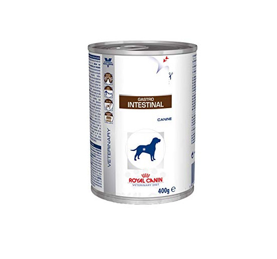 Royal canin cane gastrointestinal gr 400