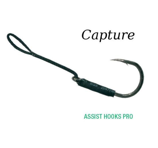 Capture assist hooks pro amo 10/0 250LB cm 7