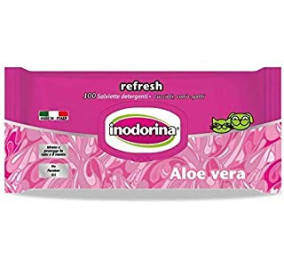 Inodorina salviette 100 pezzi aloe vera