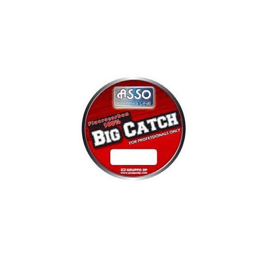 Asso big catch fluorocarbon 100% mt 150 diametro 0,24