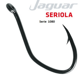 Jaguar 1080 seriola numero 4/0