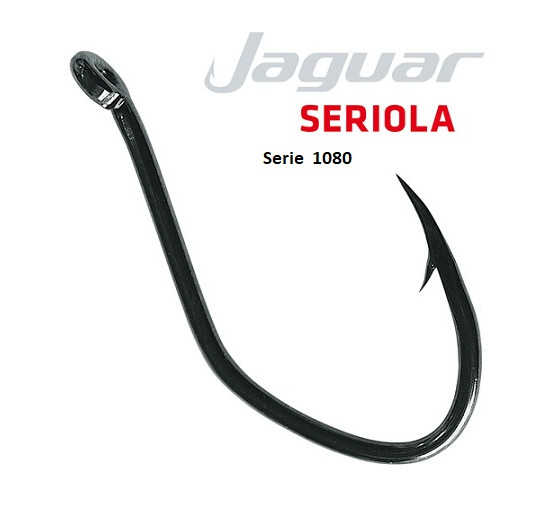 Jaguar 1080 seriola numero 4/0