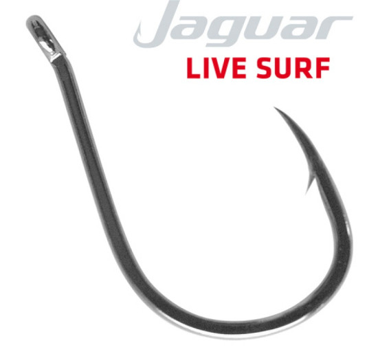 Jaguar 628 BN live surf numero 4