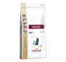 Royal canin gatto hepatic kg 2