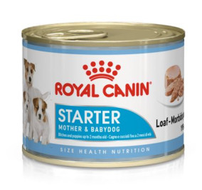 Royal canin starter gr 195