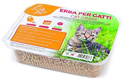 Camon - Erba per Gatto Shop on line Gatti