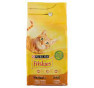 Purina friskies con pollo e tacchino kg 2