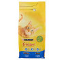 Purina friskies con salmone kg 2