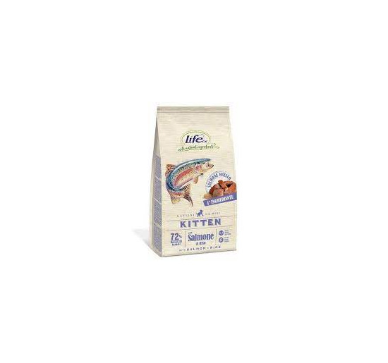 Life cat kitten salmone gr 400