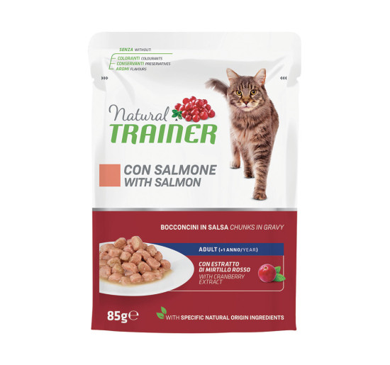 Trainer salmone gr 85