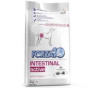 Forza 10 intestinal kg 4