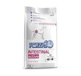 Forza 10 intestinal kg 4